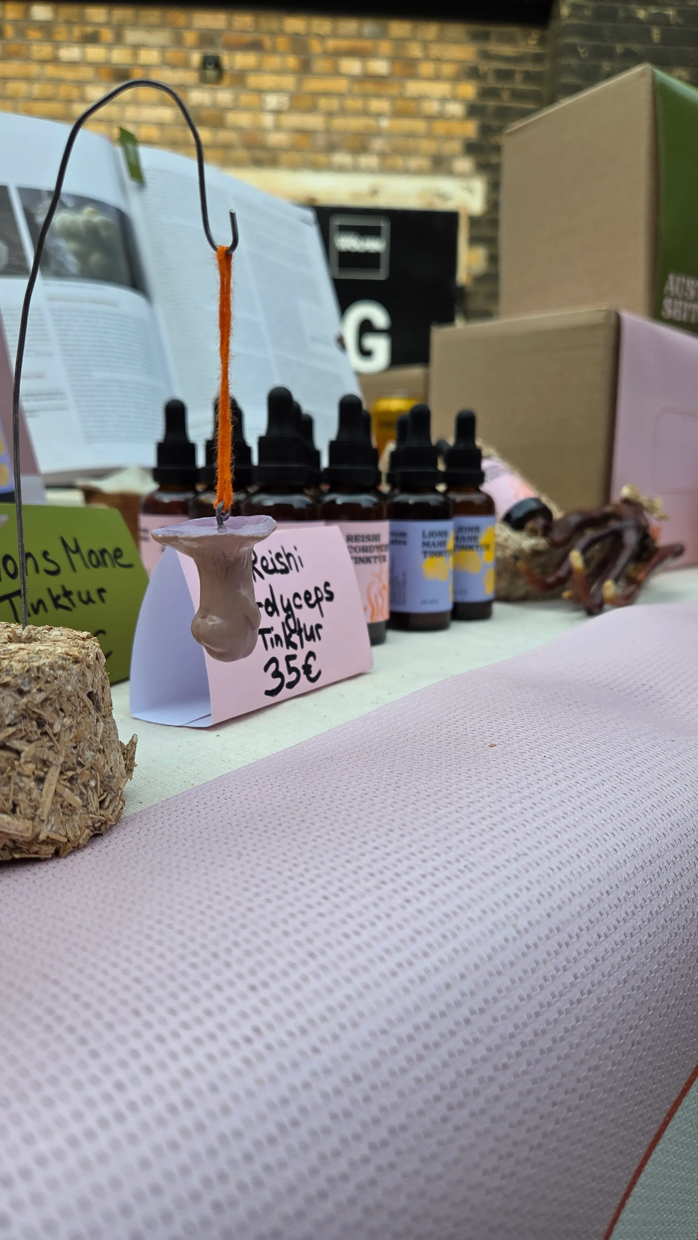 Tinkturen Lion's Mane und Reishi mit Cordyceps